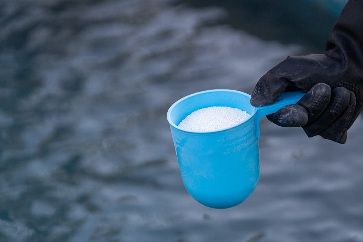 Close-up of hand holding chlorine scoop for balancing pool water