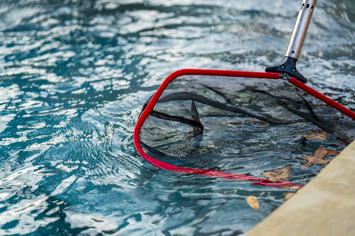 Technician removing debris with a pool skimmer